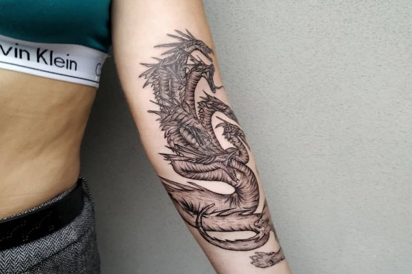 Kraken kraken link24 info