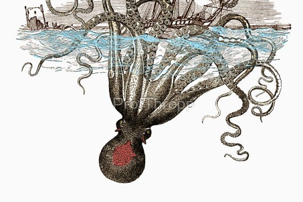 Kraken официальное зеркало kraken dark link