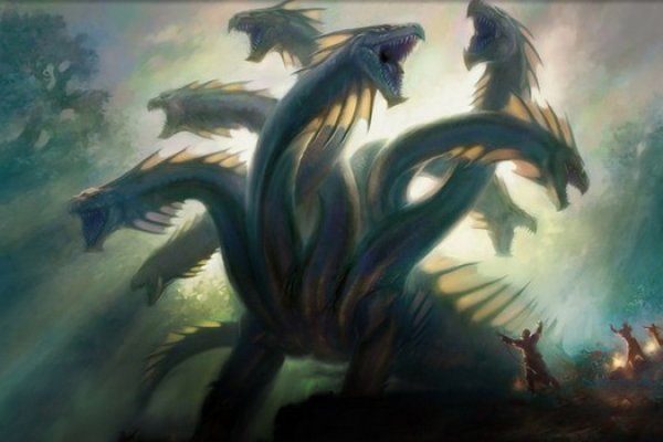 Kraken19 at