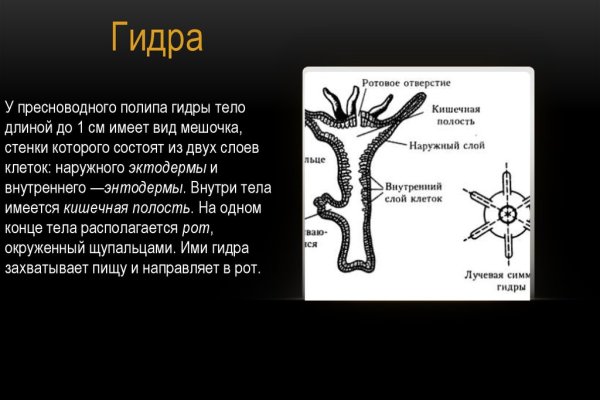 Кракен счастье