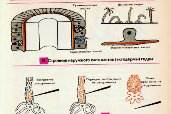 Кракен маркет что